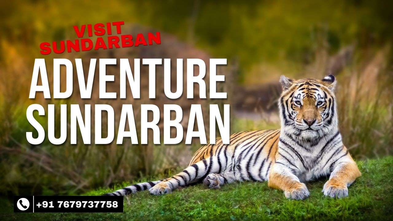 Sundarban Tour pacakge