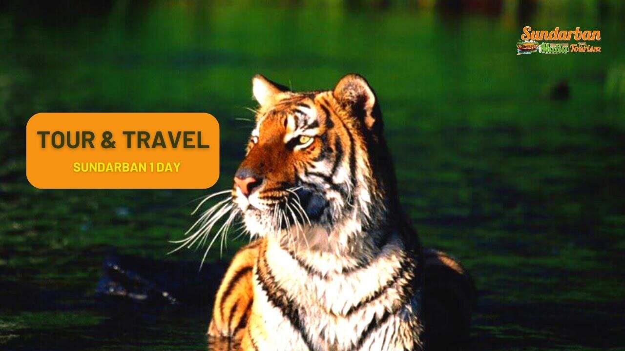 Sundarban Matla Tourism 1 day tour package