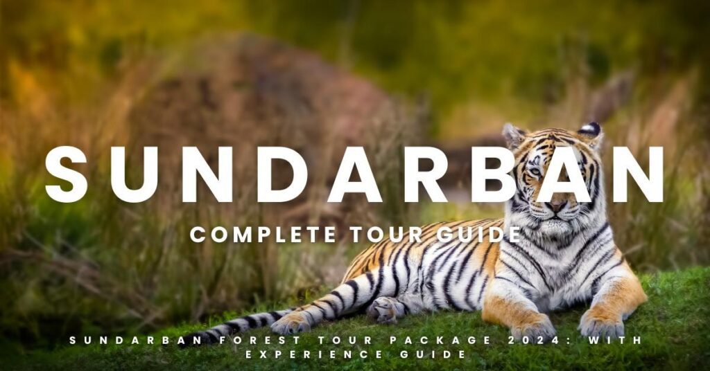 Sundarban Forest Tour Package 2024
