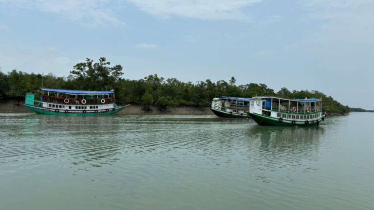 Sundarban Tour Package