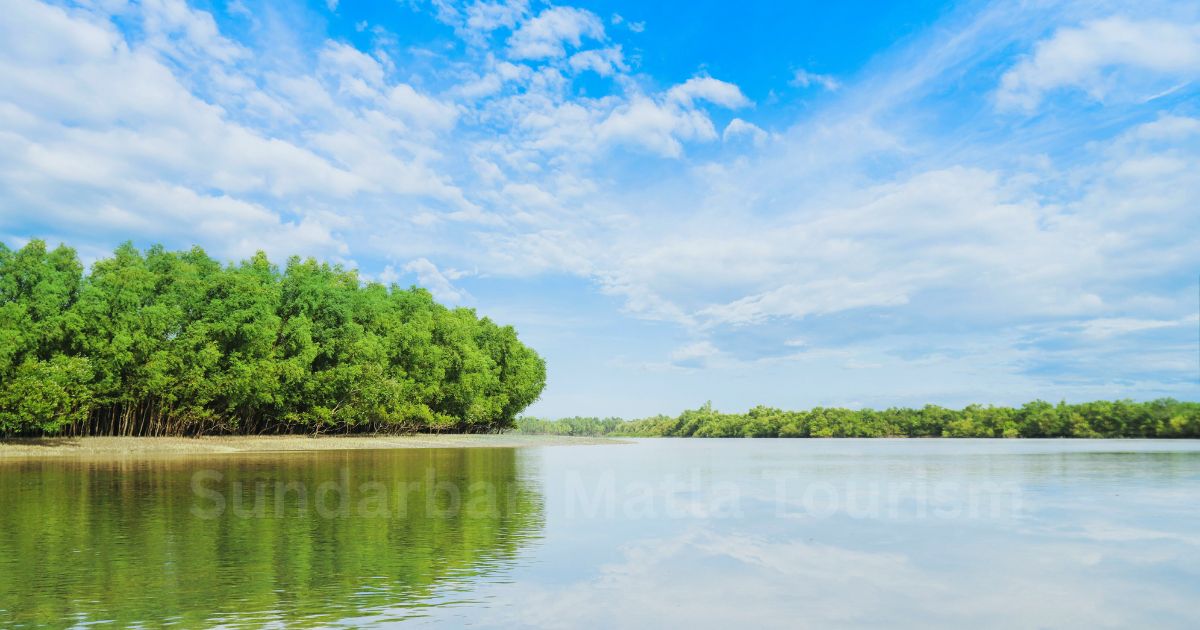 Sundarban tour package from kolkata