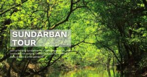 Sundarban Tour, & Sundarban tour package