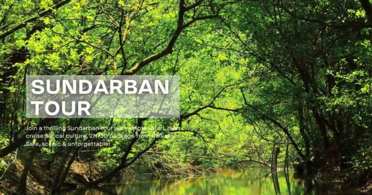Sundarban Tour, & Sundarban tour package
