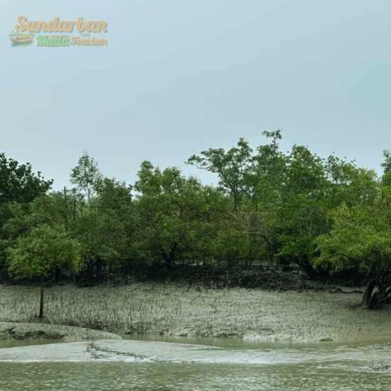 Sundarban travels deals