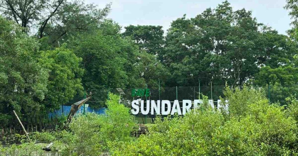 Sundarban National Park: A Complete Travel Guide to the World's Largest Mangrove Forest
