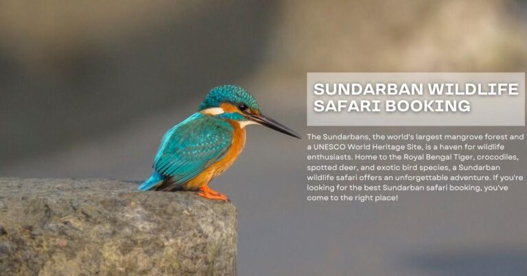 Sundarban Wildlife Safari
