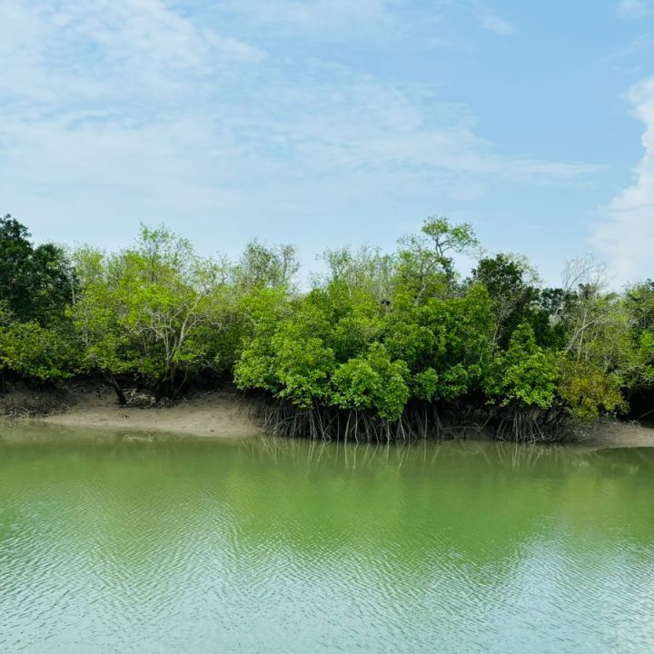 Sundarban Tour Package: Matla Tourism complete Tour guide